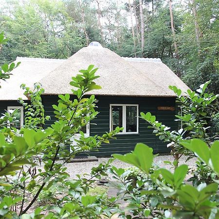 Vakantiehuis 'T Musje エーペ 部屋 写真