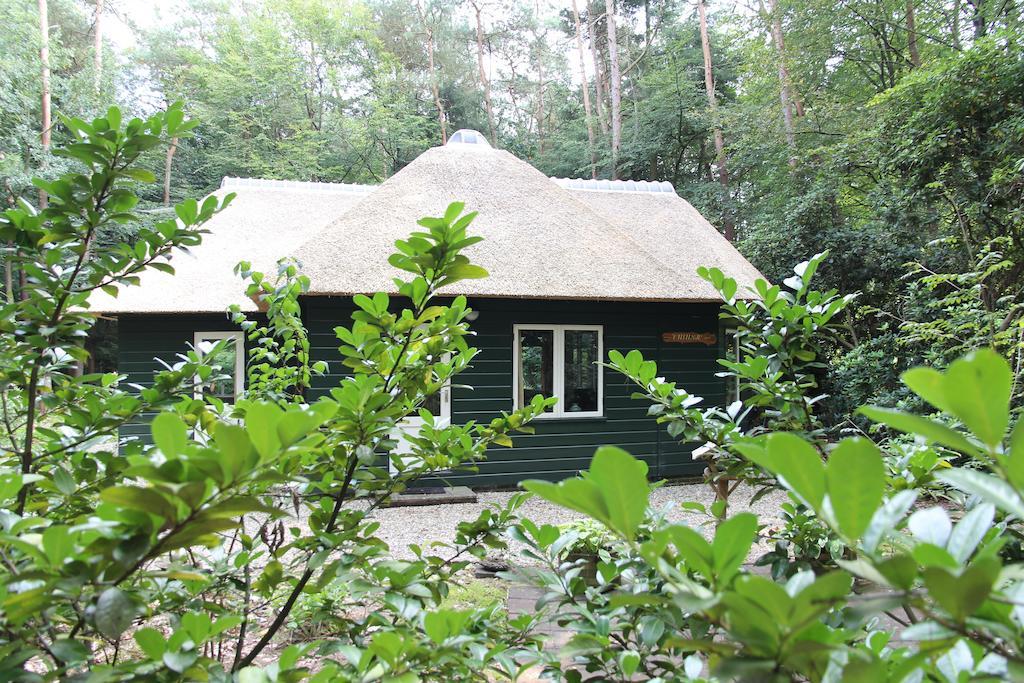 Vakantiehuis 'T Musje エーペ 部屋 写真