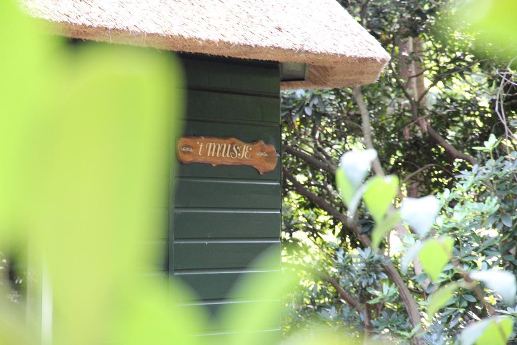 Vakantiehuis 'T Musje エーペ エクステリア 写真