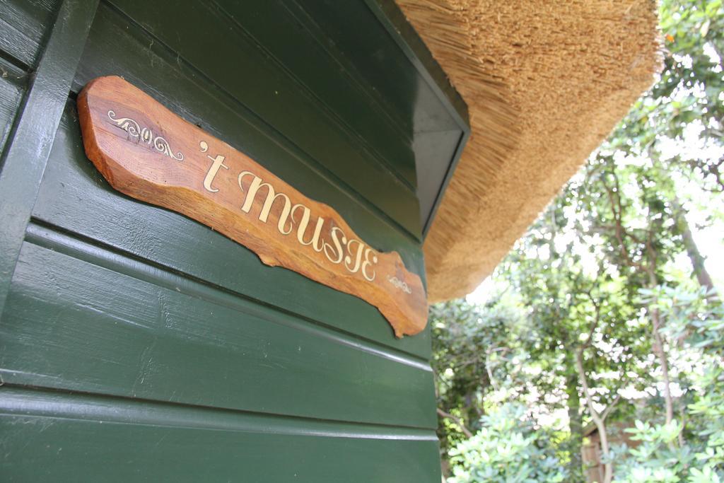 Vakantiehuis 'T Musje エーペ エクステリア 写真